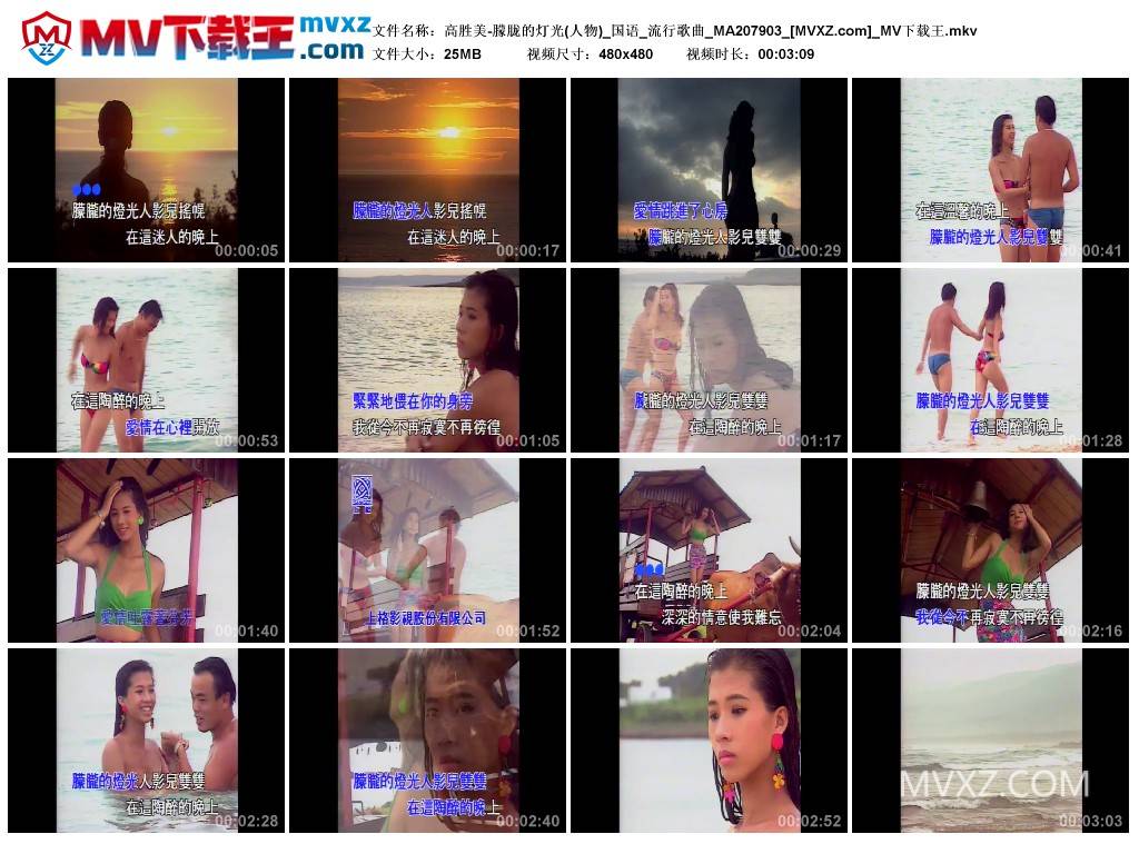 高胜美-朦胧的灯光(人物)_国语_流行歌曲_MA207903